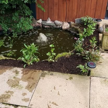 Overgrown Garden Rescue